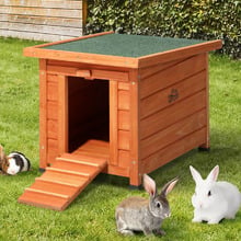 Hough Chicken Coop & Rabbit Hutch